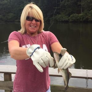 Meet your Posher, Tammy